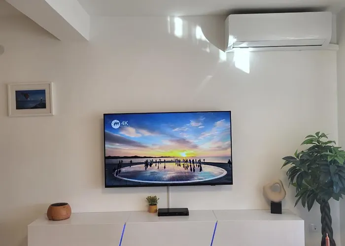 Rosa 자다르